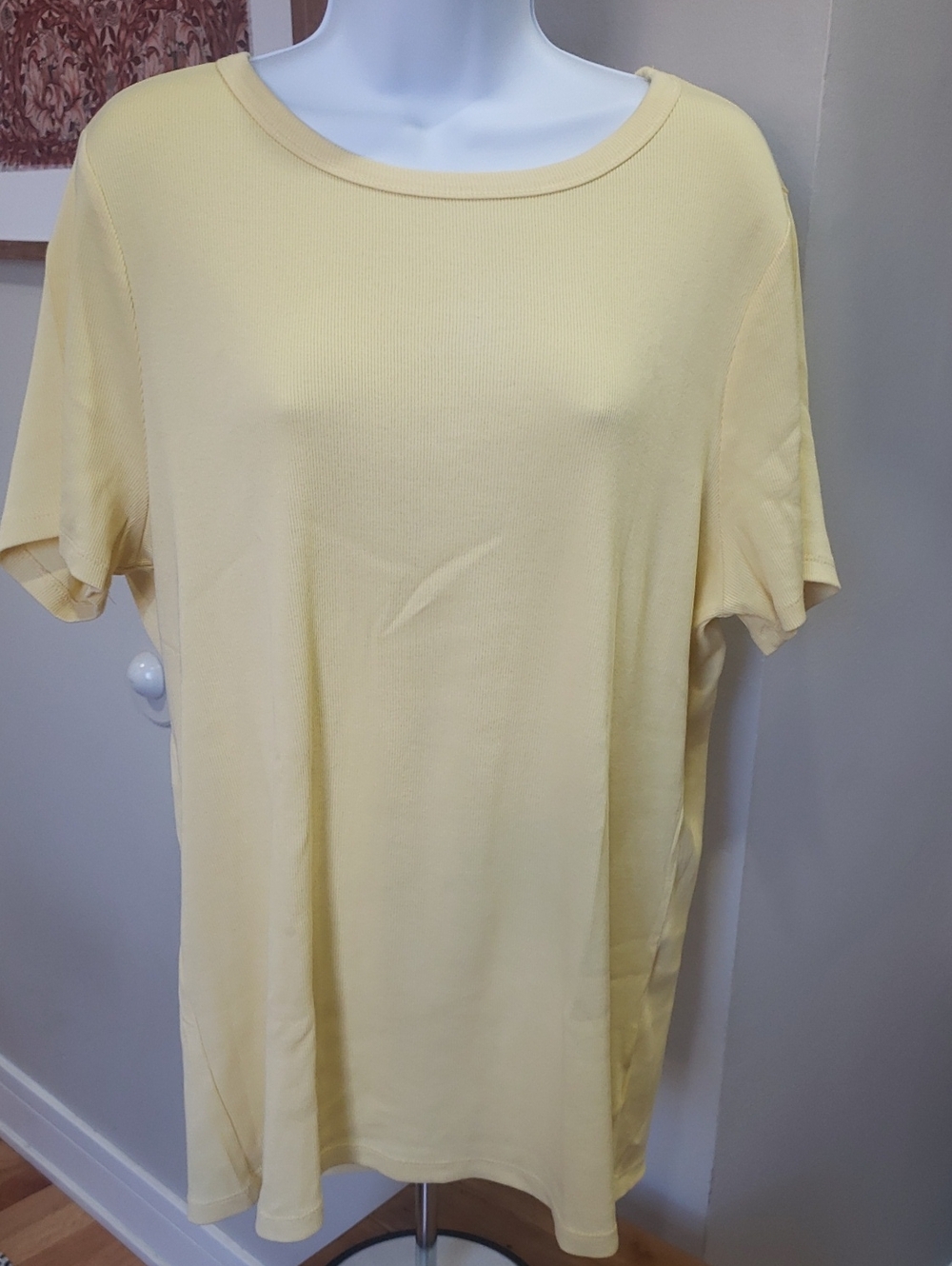 Time AND Tru Women's Lightweight Crewneck Tee - Pale Yellow, Size 22 XXXL
